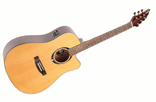 Flycat C100 NT EQ